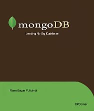 Introduction to Mongo DB